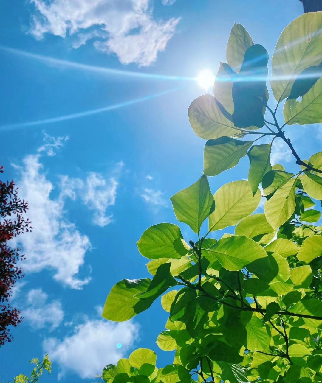 强者思维：顺其自然放开心态。太执着于各种规划与安排，按照既定路线行驶，稍微偏离