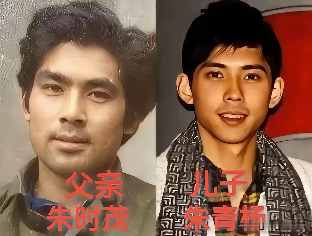 朱时茂的颜值被很多人喜欢，有些认为他这样的颜值是中国男人中最帅的男人模样，标准国