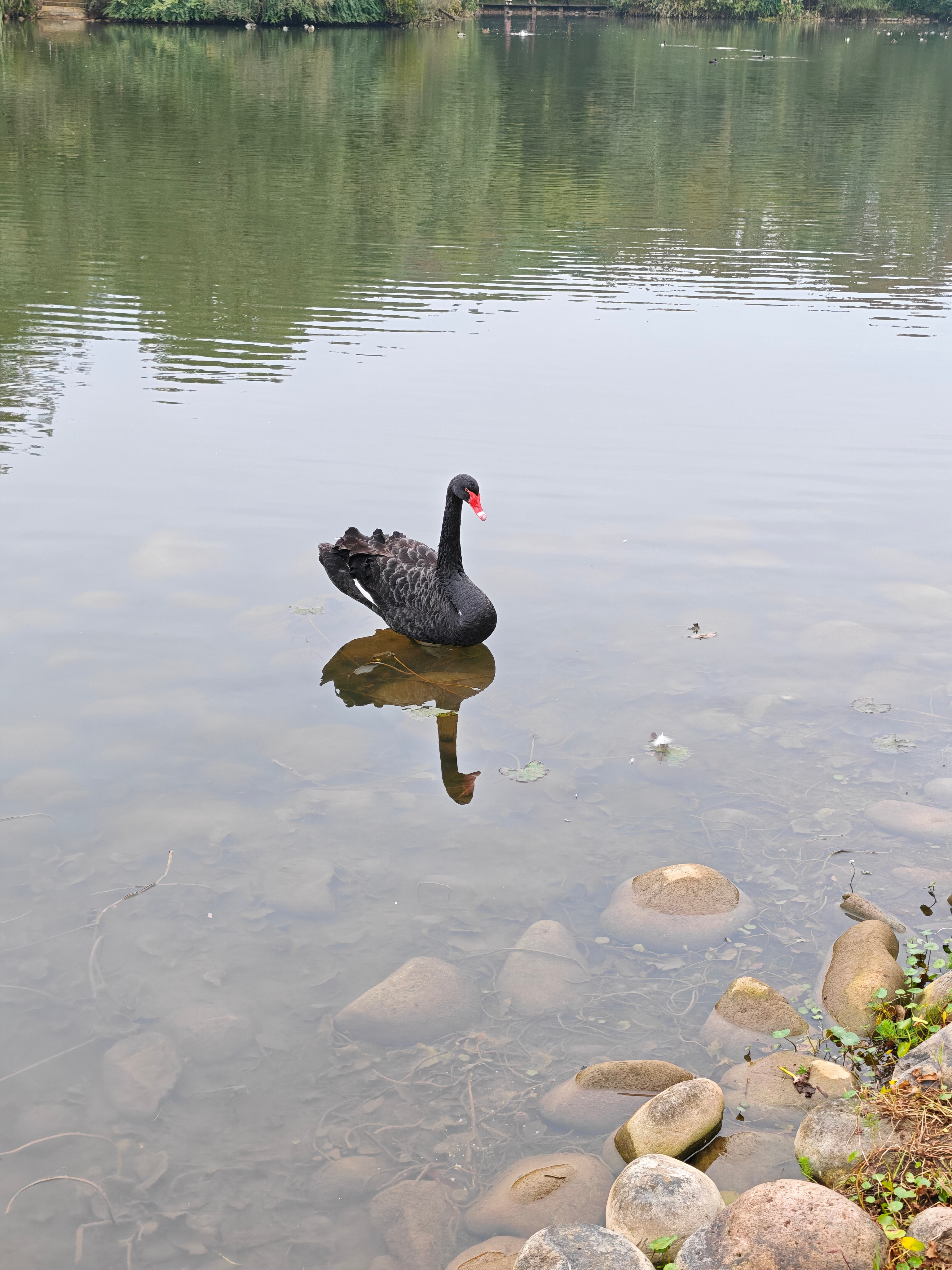 相亲整活其实踩了别人尾巴还是那句话，人类最大矛盾就是利益冲突，次要矛盾是按耐不住