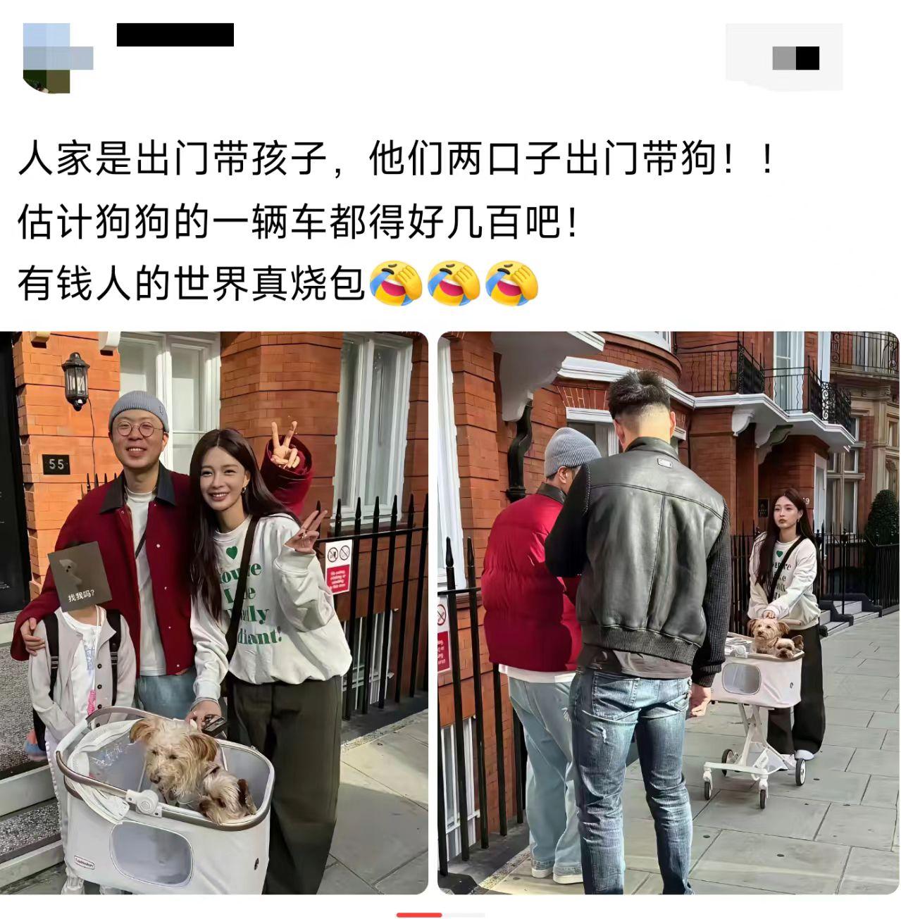 遛狗还推这种小车，有必要？