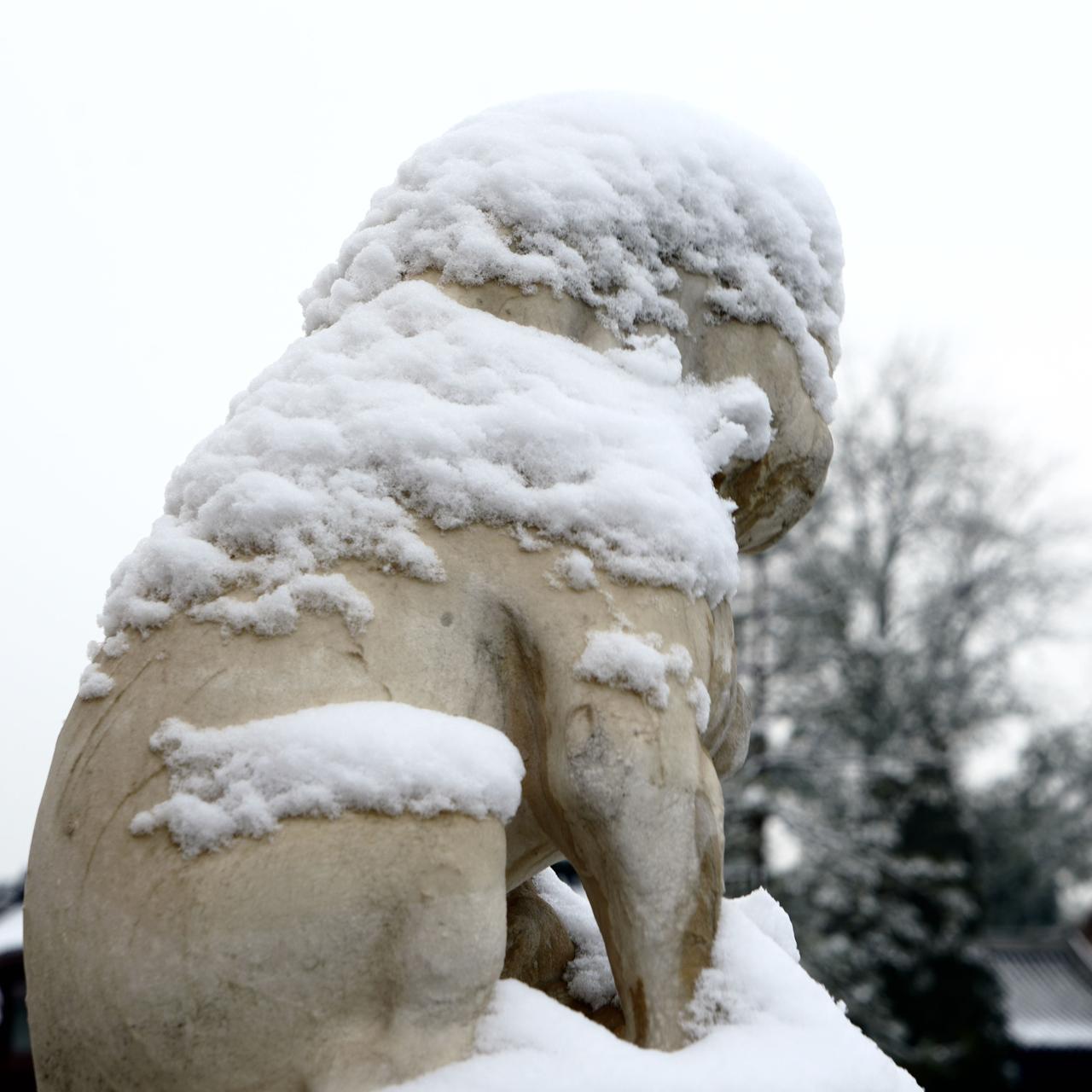 中国必将迎来一场大的变革，也许在十年之内，最长不会超过二十年。储备好你的知识和技