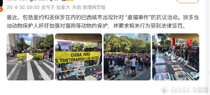 【巴西对中国公民免签】国内小动物保护志愿者们用猫犬事件，前些日串掇巴西的极端群体