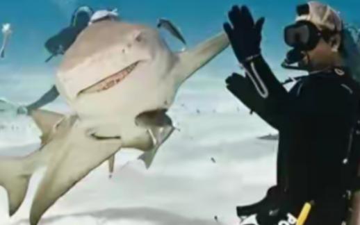 1996年，一位意大利女潜水员在巴哈马海底，帮一条大鲨鱼拔掉嘴里的钢钩，正准备离