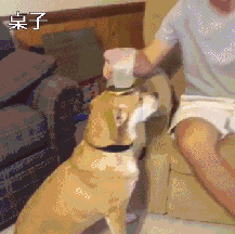 一个亲戚清明从国外回来，女儿19岁，化妆化了看起来像29岁，然后她妈妈说她有一个