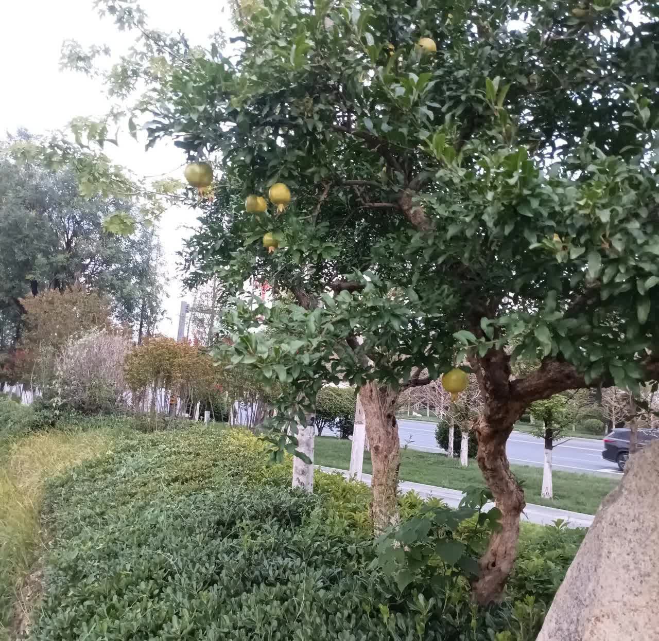 昨天出去拿个快递遇到一个辅导班老师，她是我们小区的，很多孩子都交给他们，两口子以
