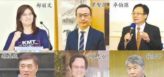 国民党主席参选人前后关于两岸关系的论述变化:郑丽文:大罢免集会上高呼两
