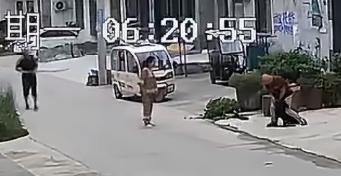 河南一大爷无端遭到家里养的黑狗突袭，不停躲闪，一旁的老伴手足无措，邻居听到动静，