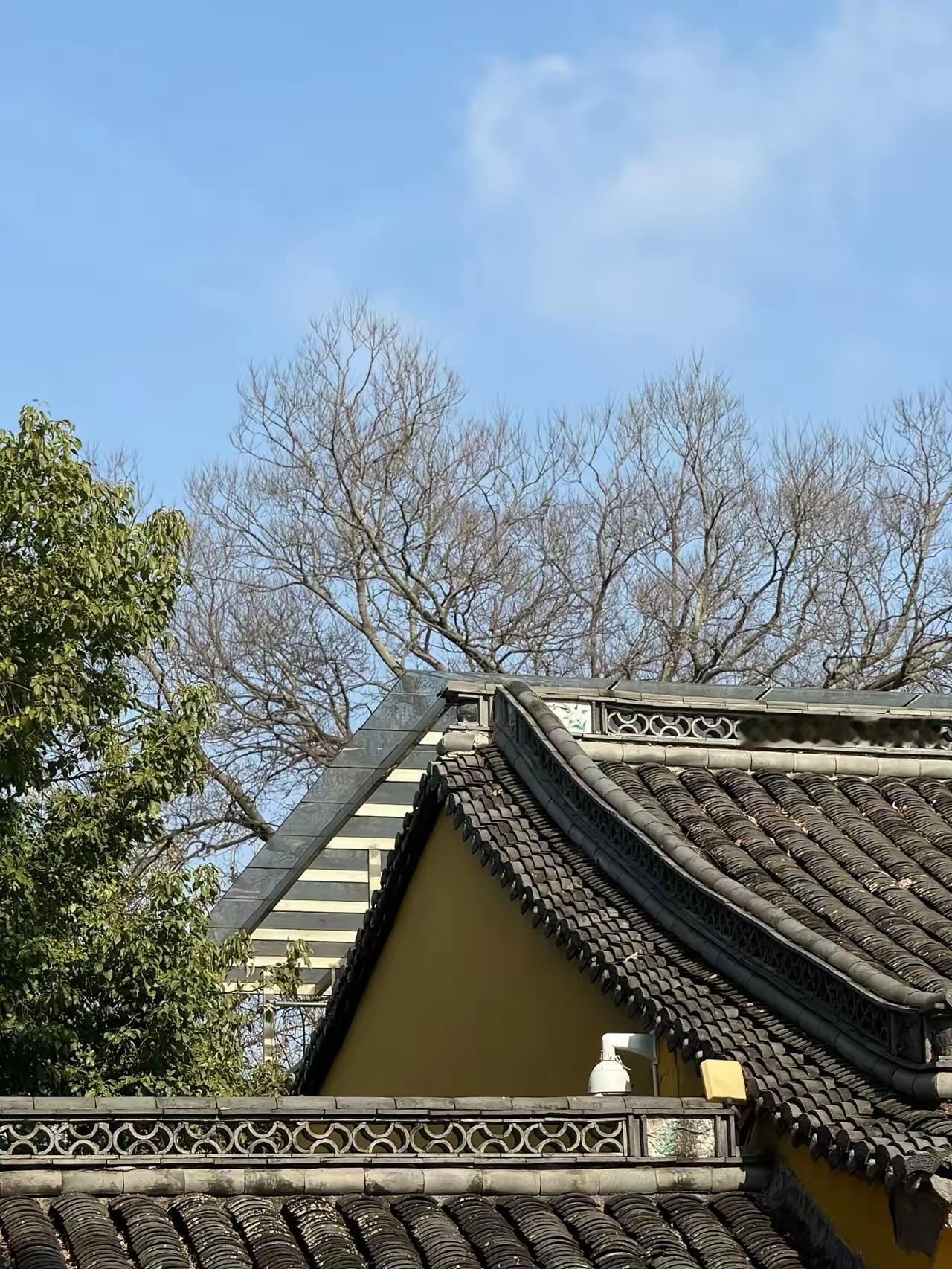 冬天养生有小窍门，把精气神藏好，人就更精神！有专家提到，中老年人冬天得学会“藏”