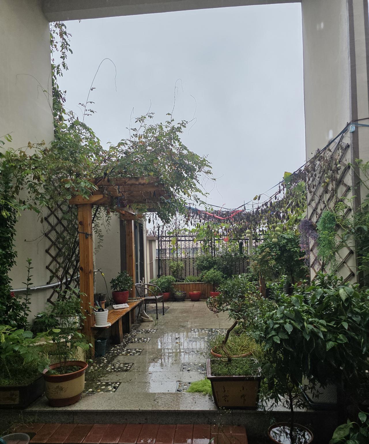 10月6日，中秋节，济南的雨一直在下……昨晚凌晨一点睡的，今天六点起的。济南的