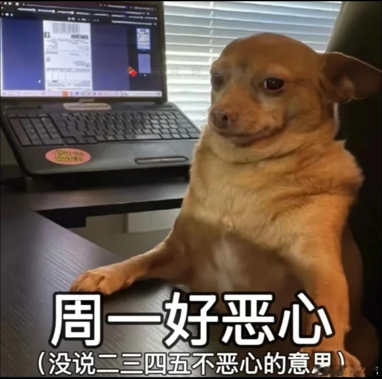 宝宝们，让我们开始重新骂周一吧