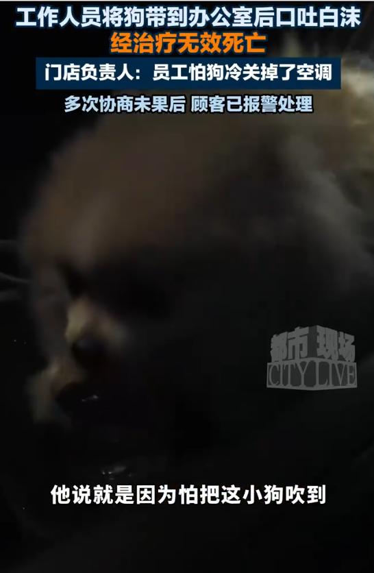 江苏南京，一女子带宠物狗就餐海底捞，准备离开时，发现狗已口吐白沫，送医抢救无效死