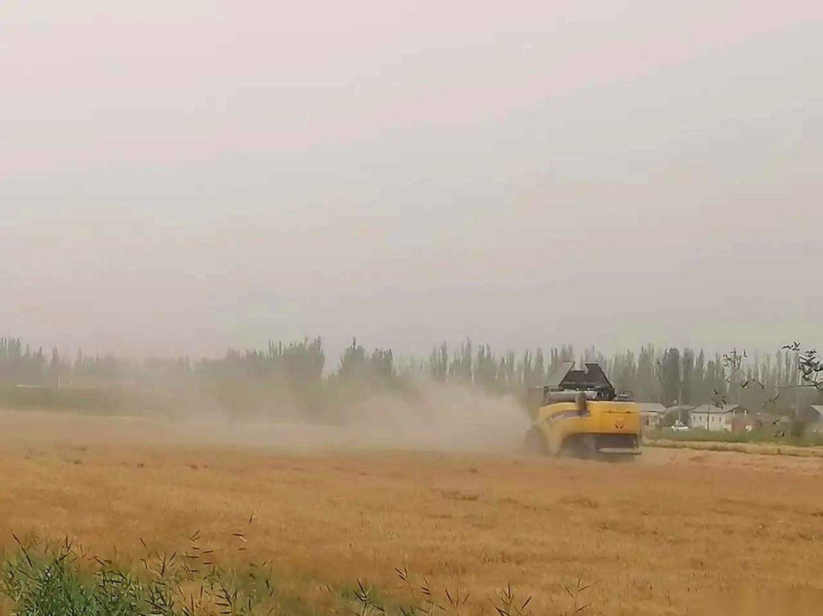 我算是看明白了，什么叫最朴素的投资哲学。别跟我扯什么大盘、K线、美联储，我现在