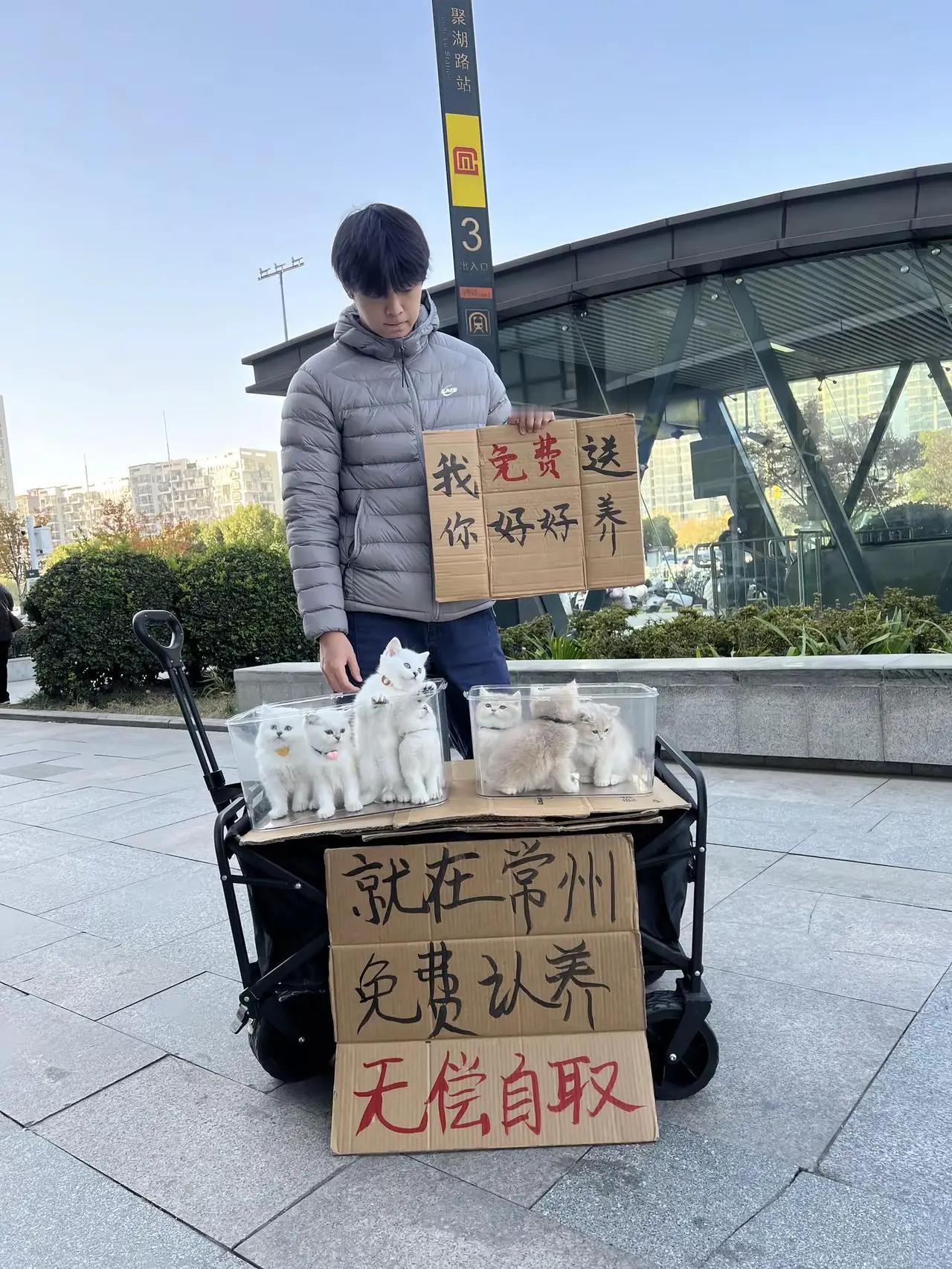 天冷了带小猫回家吧！