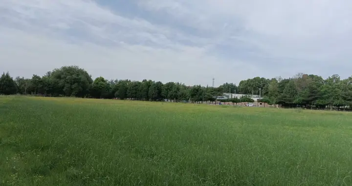 搭伙不领证33: 男人介绍身边女人是他表姐, 却被好姐妹给识破真相