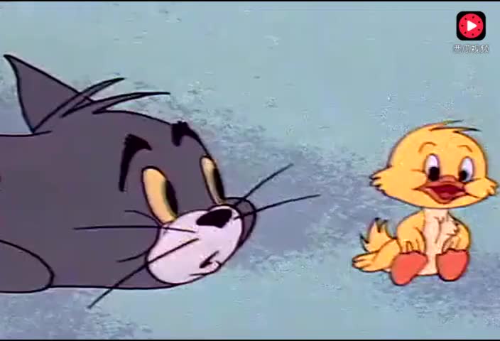 12234479194094317998.jpg?id=0