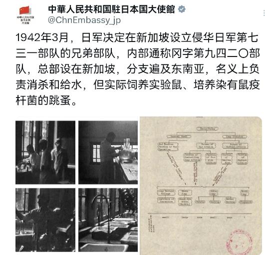 这打脸，猝不及防！新加坡总理刚替日本“洗白”，结果呢？我们大使馆直接甩出“731