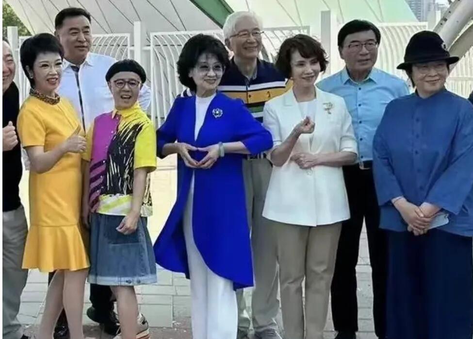 这都是老一辈的央视主持人了，各个都是才华横溢的了，照片中有金龟子，她的发型太醒目