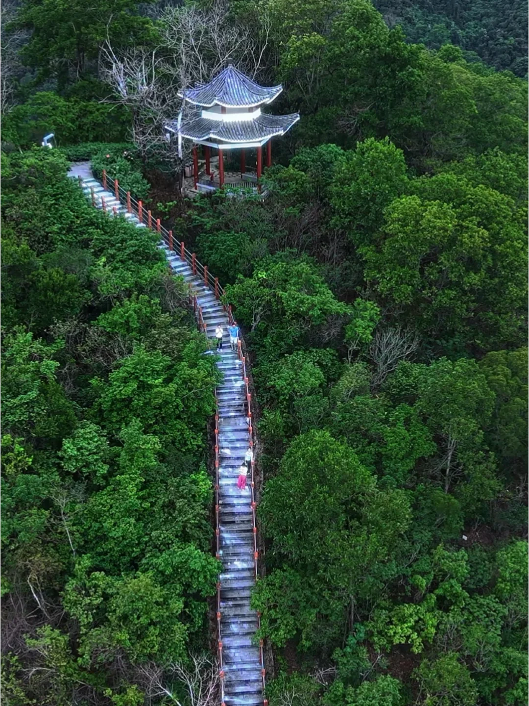 都说深圳这条绿道震撼🫪我不信！直到……