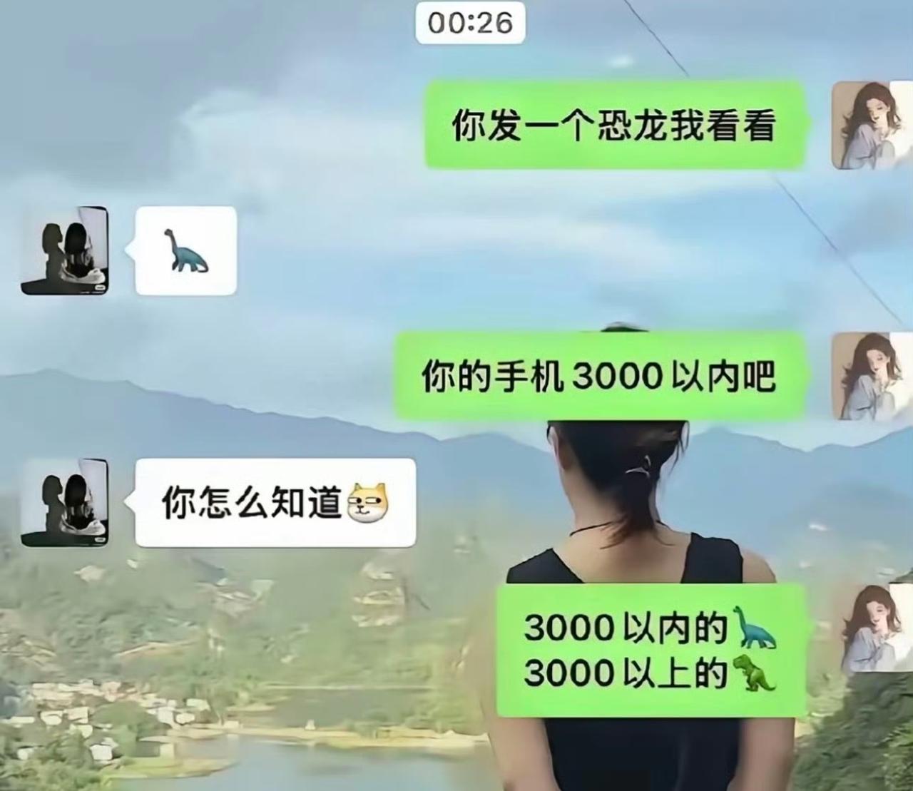 我一直以为，3000块钱以下的手机和3000块钱以上的手机没什么区别？