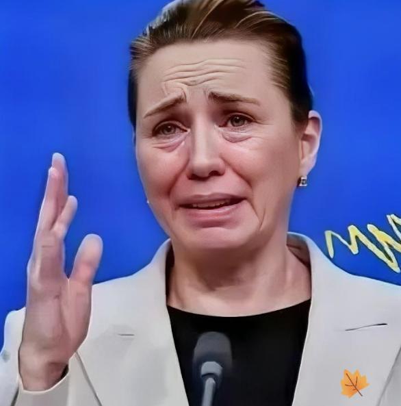 丹麦政府痛恨中国丹麦一个不到600万人的小国，居然敢对中国硬气说“不”