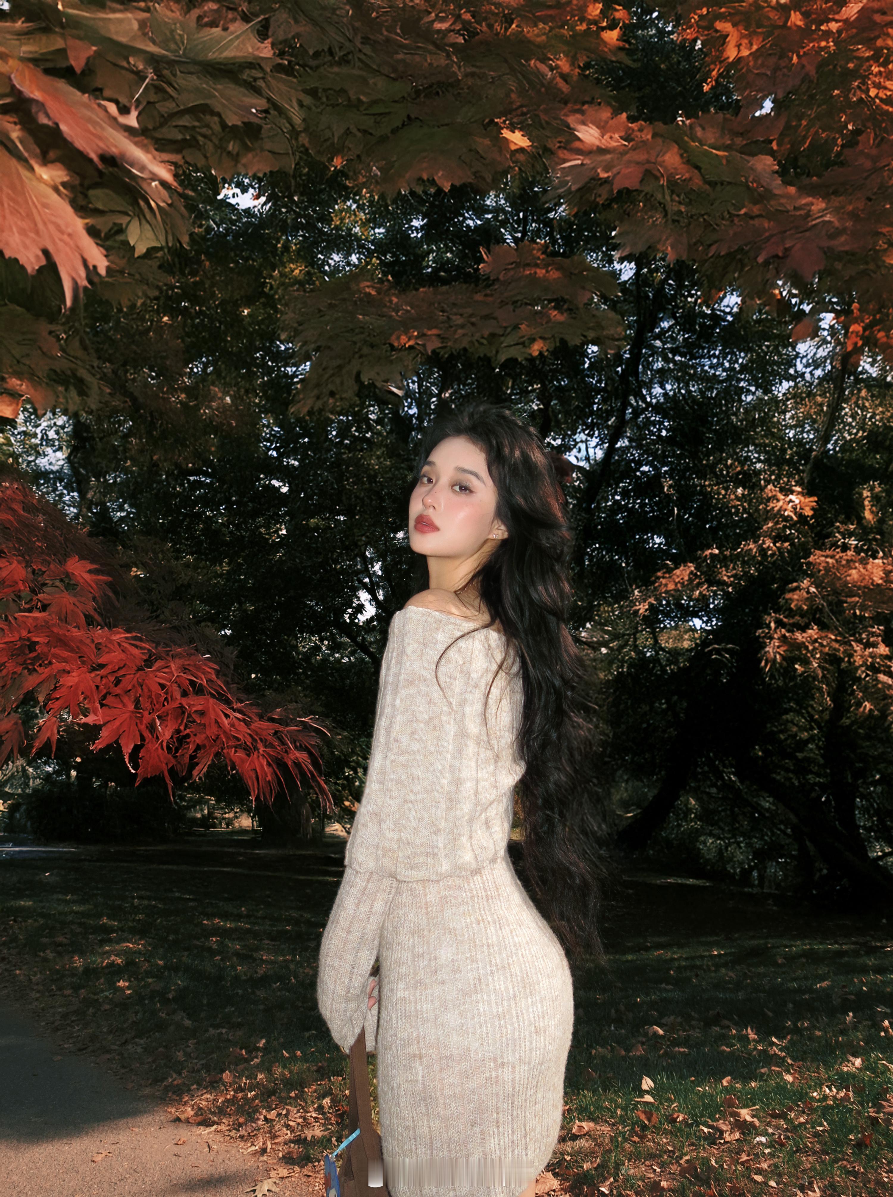 🍁​​​