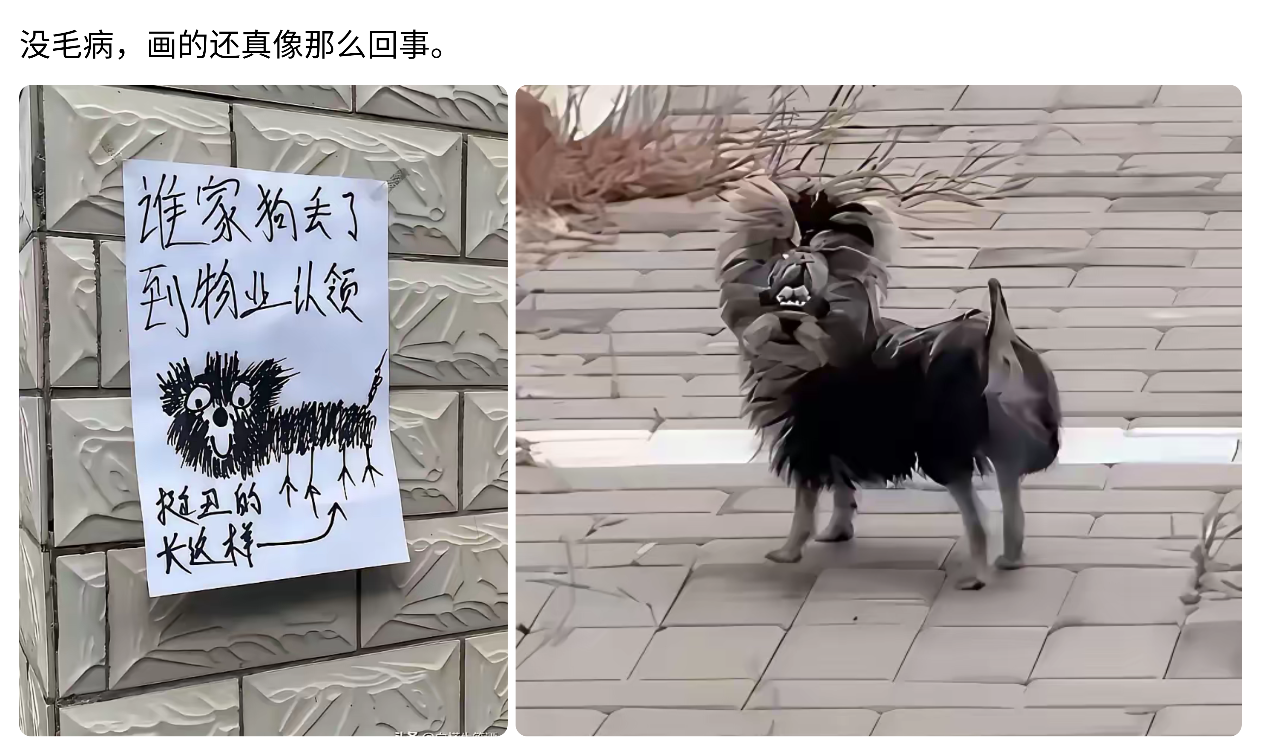 这手艺，简直出神入化！[开怀大笑][开怀大笑]