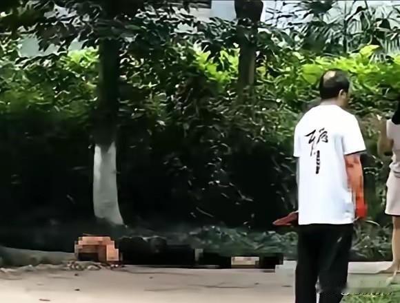 重庆理工的汪副教授，作案后没有逃走，还大声呼喊，诉说自己动手的理由。听她妻子那番