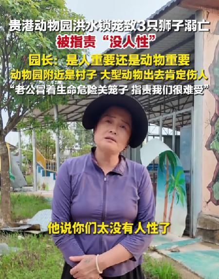 是人命重要，还是三头狮子命重要？洪水退去，广西贵港动物园园长也哭了，不是为动物园
