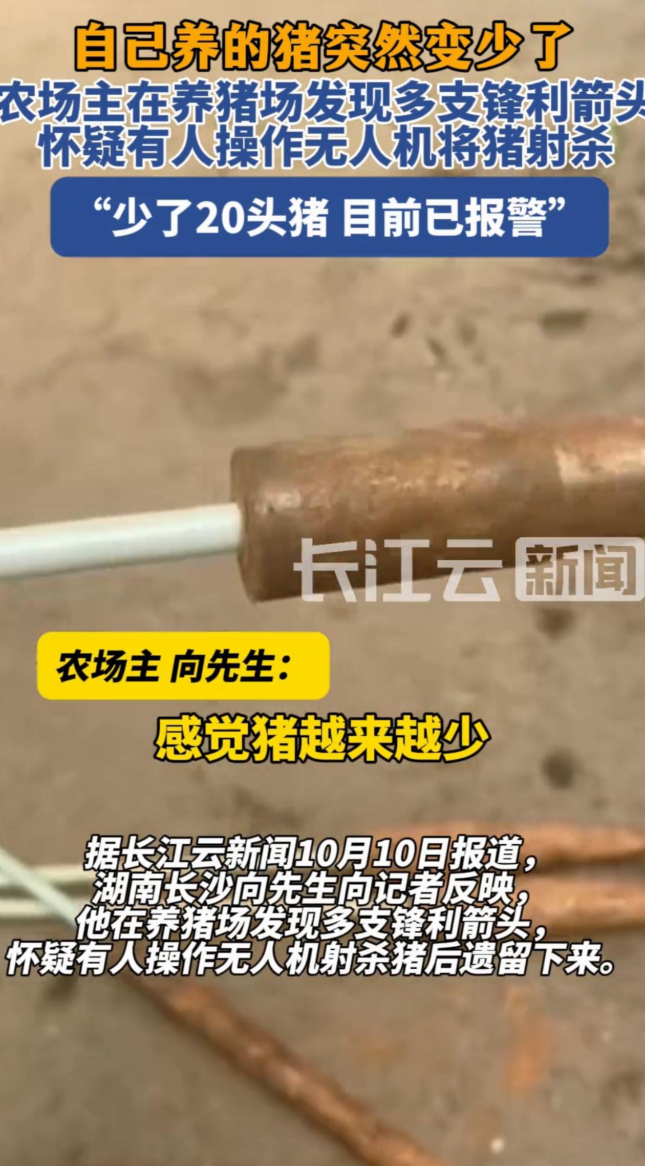“偷猪都用上高科技了！”湖南长沙，男子发现自家养的猪越来越少，觉得不对劲的他一找