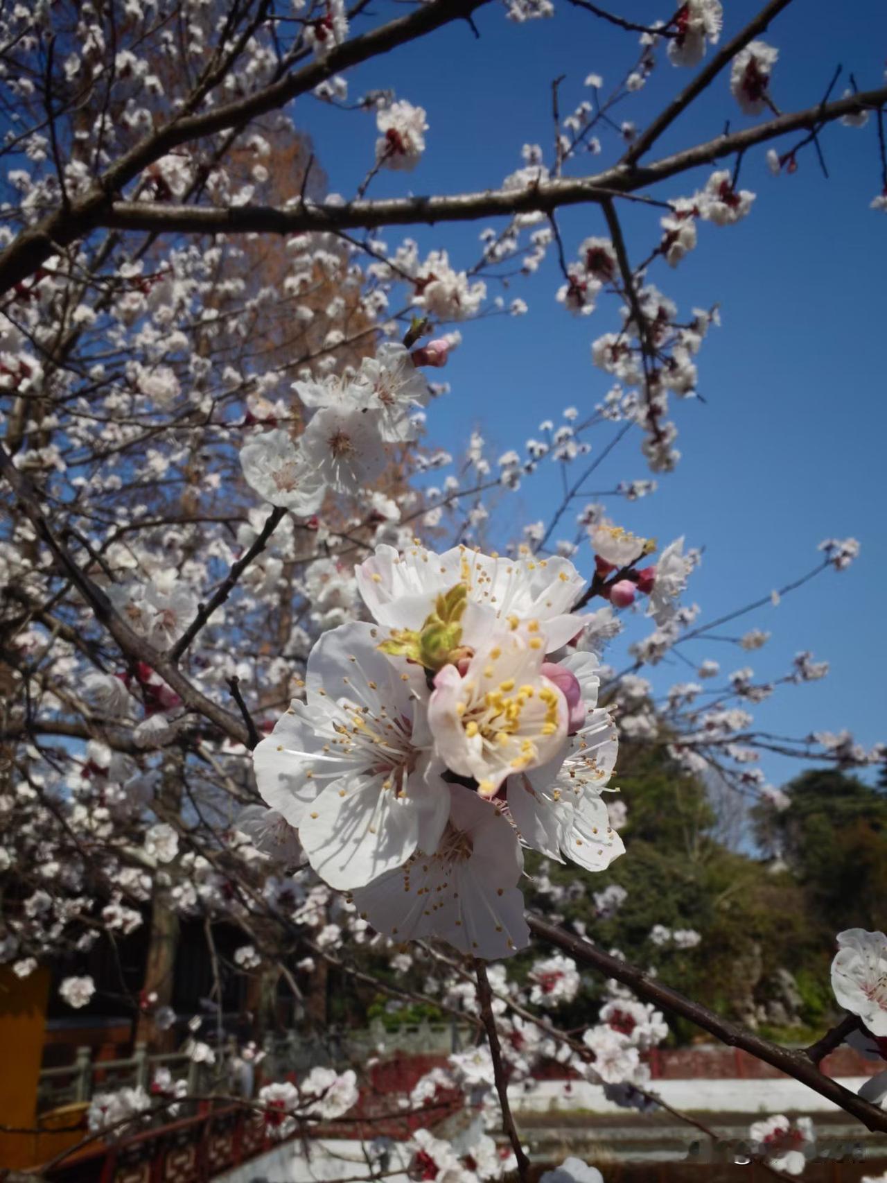 3.16每年的3.15一曝光，有一批食物就不敢碰了。看完今年的3.15，四