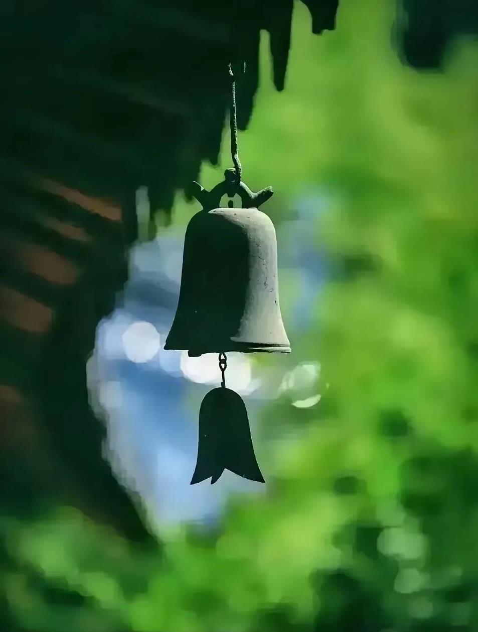 北大学霸刘嘉森语出惊人：“当你没有家财万贯的父母，没有大权在握的亲戚朋友，而别人