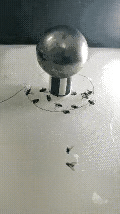 红警就没让人失望过[捂脸哭][捂脸哭]