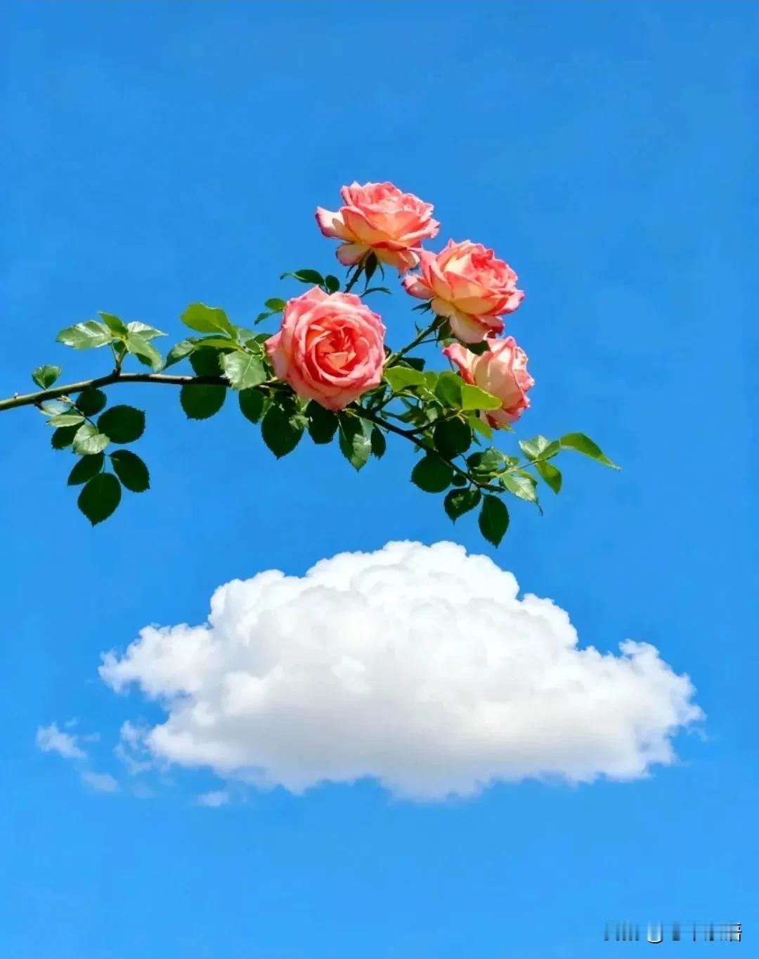 看看张雪的做法！用户：装货拉拉摩托车底板被磨损，换一下多少钱？张雪：要不是我