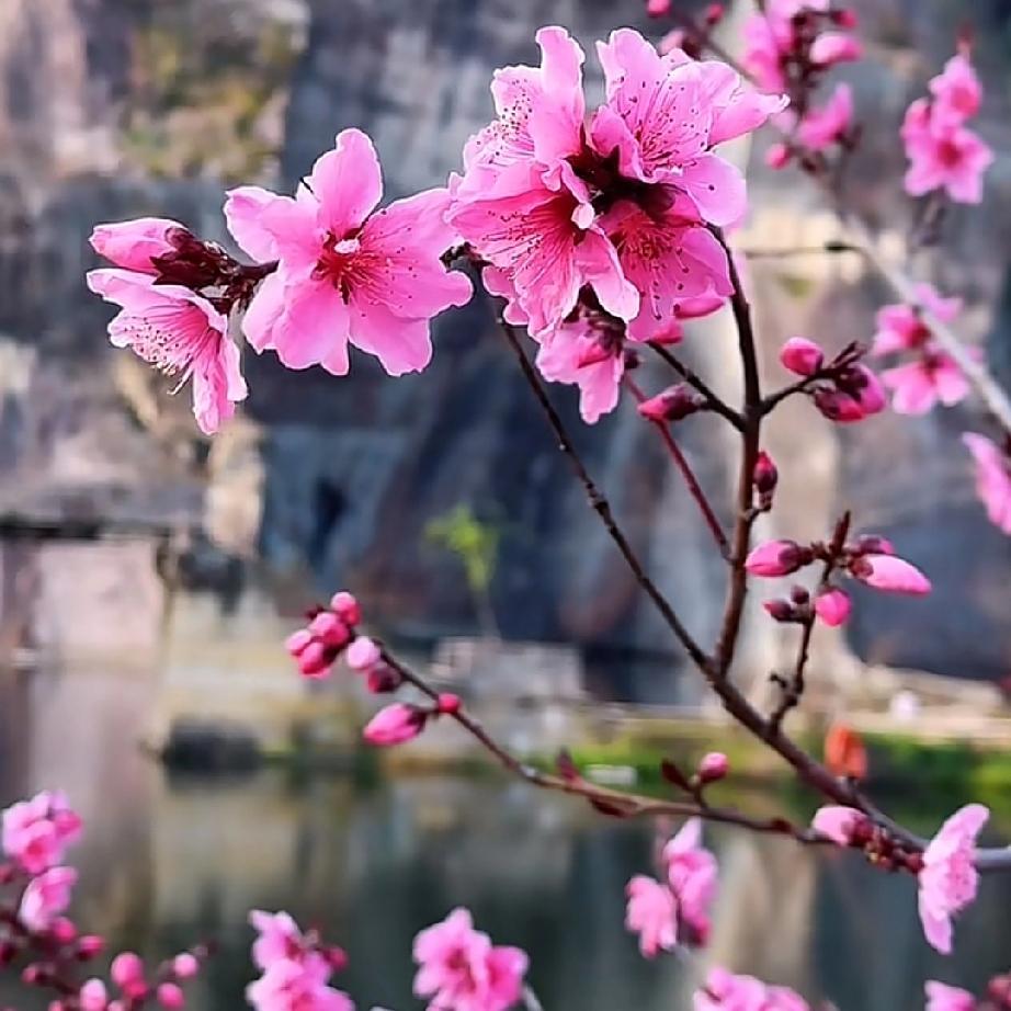 男人失去了每天聊天的女人，真的会难受吗？肯定会的，因为人毕竟是有感情的。别