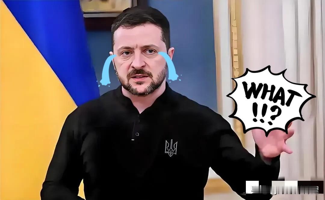 今日消息！​乌克兰正式宣告了！11月26日，对于乌克兰来说是具有里程碑式