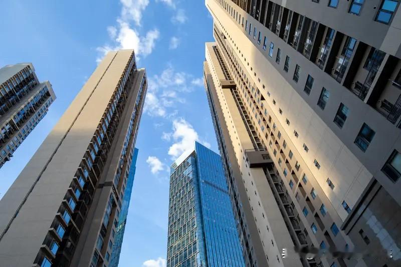 楼市成功软着陆，房东功不可没。现在新房还能卖的那么好，且降价的幅度不是很大，甚