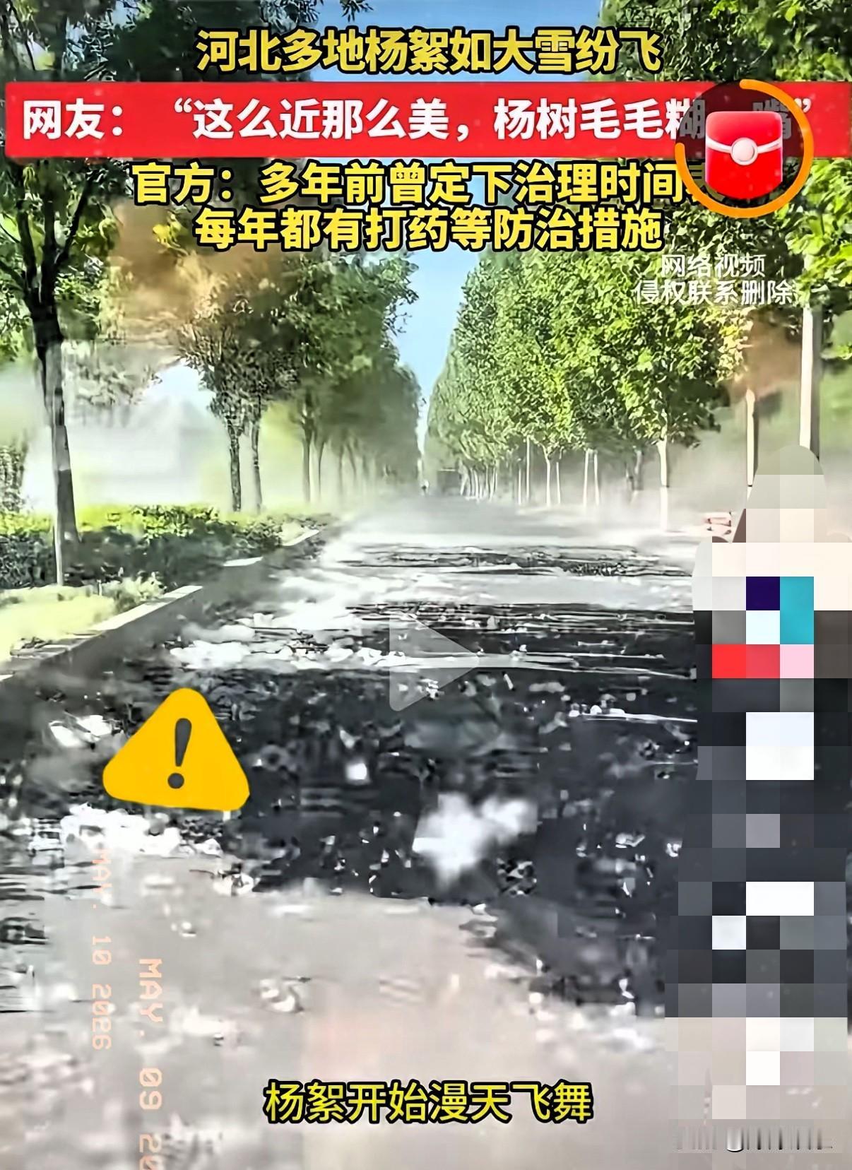 杨絮成灾，怎么专家教授们都“装聋作哑”了？并不是事情解决不了，其实只要像“秸秆