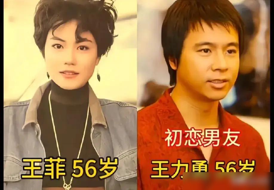 曾被王菲看上眼的谢霆锋。曾被王菲看上眼的窦唯。曾被王菲看上眼的李亚鹏。前面这