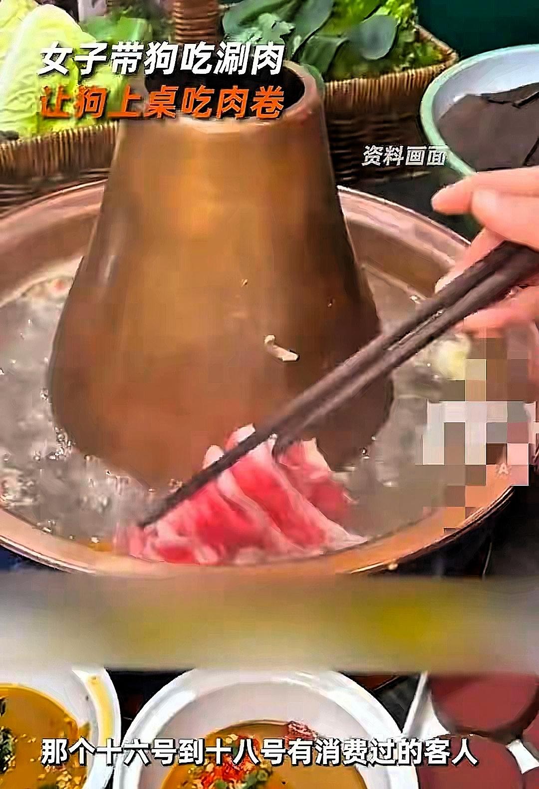 北京火锅店因狗上桌被停整顿续:店铺被曝光，已退款，狗主人担责花88块吃自助，