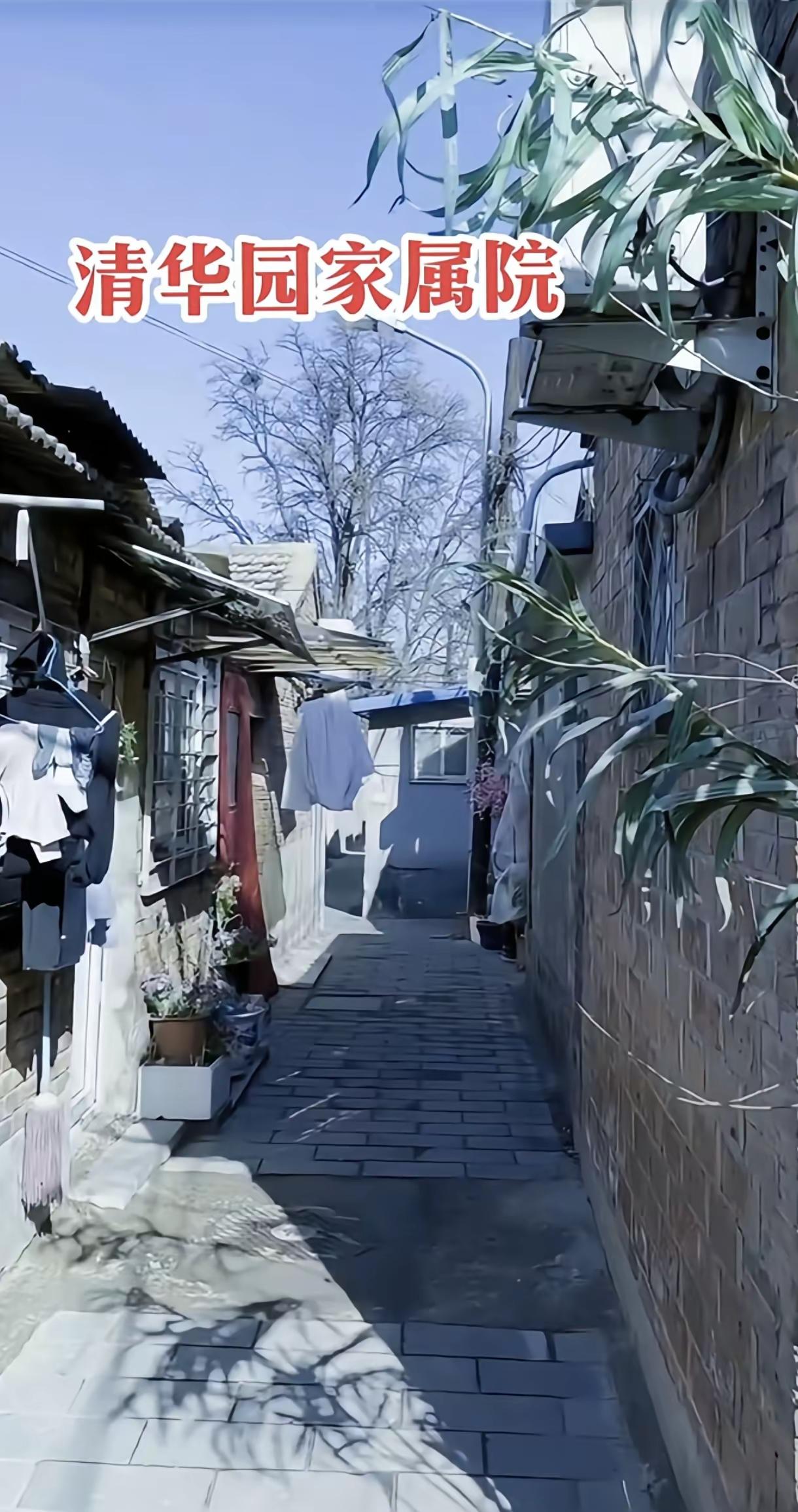 你敢信吗？这是清华园家属院。和我们小县城年久失修的老家属院没有什么差别。惟一聊以