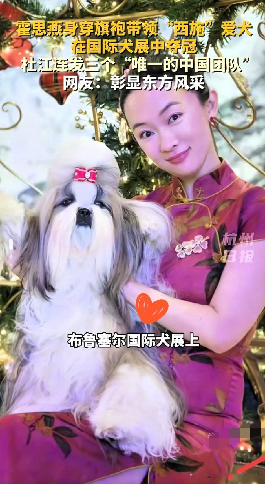 霍思燕这波操作太绝了！15万欧元奖金刚到手，她的决定惊呆所有人自家狗狗赛场