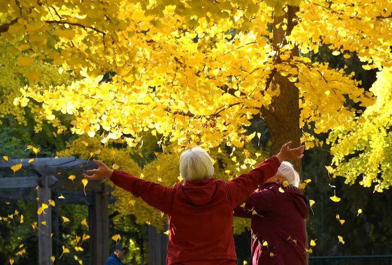 退休了，意味着人生迎来了一个全新的阶段，或许是享受自由、追求梦想的时刻，但也有一