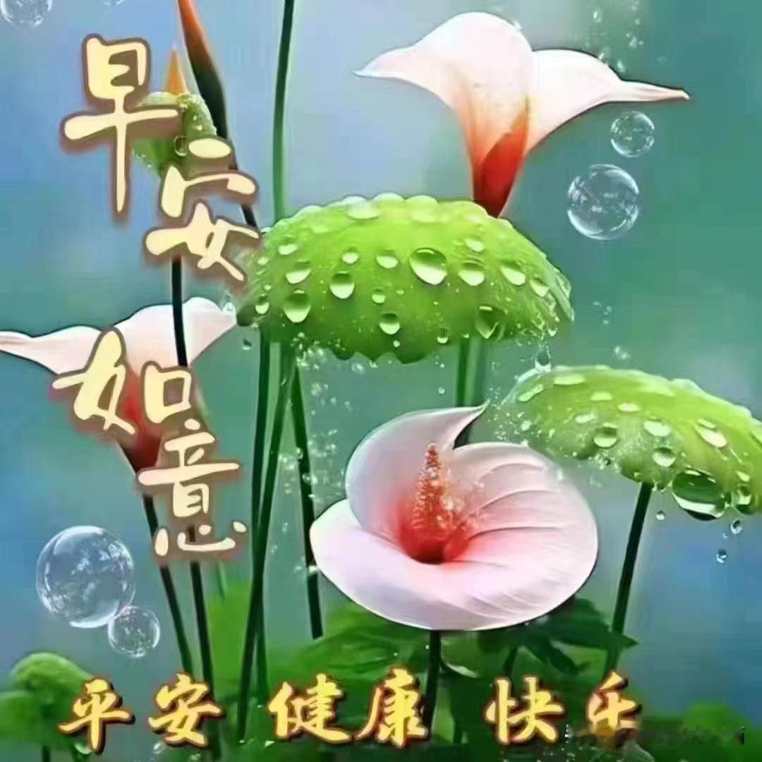 你好🤗🌹早安🤝🍎我们要和快乐一起走，我们要和健康常相守，我们