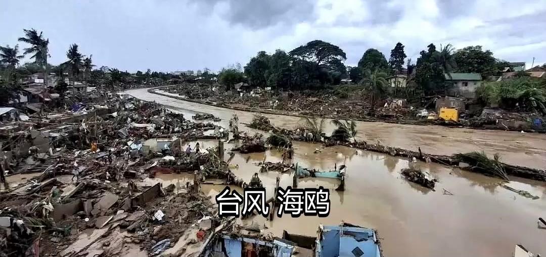 中国呀，援助一下菲律宾吧，你看看，台风海鸥把这里破坏成啥模样啦，人员伤亡严重呀，