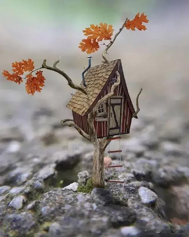 人品差的人，开口闭口都是这4句话，尽量不要深交你有没有遇到过这种人？