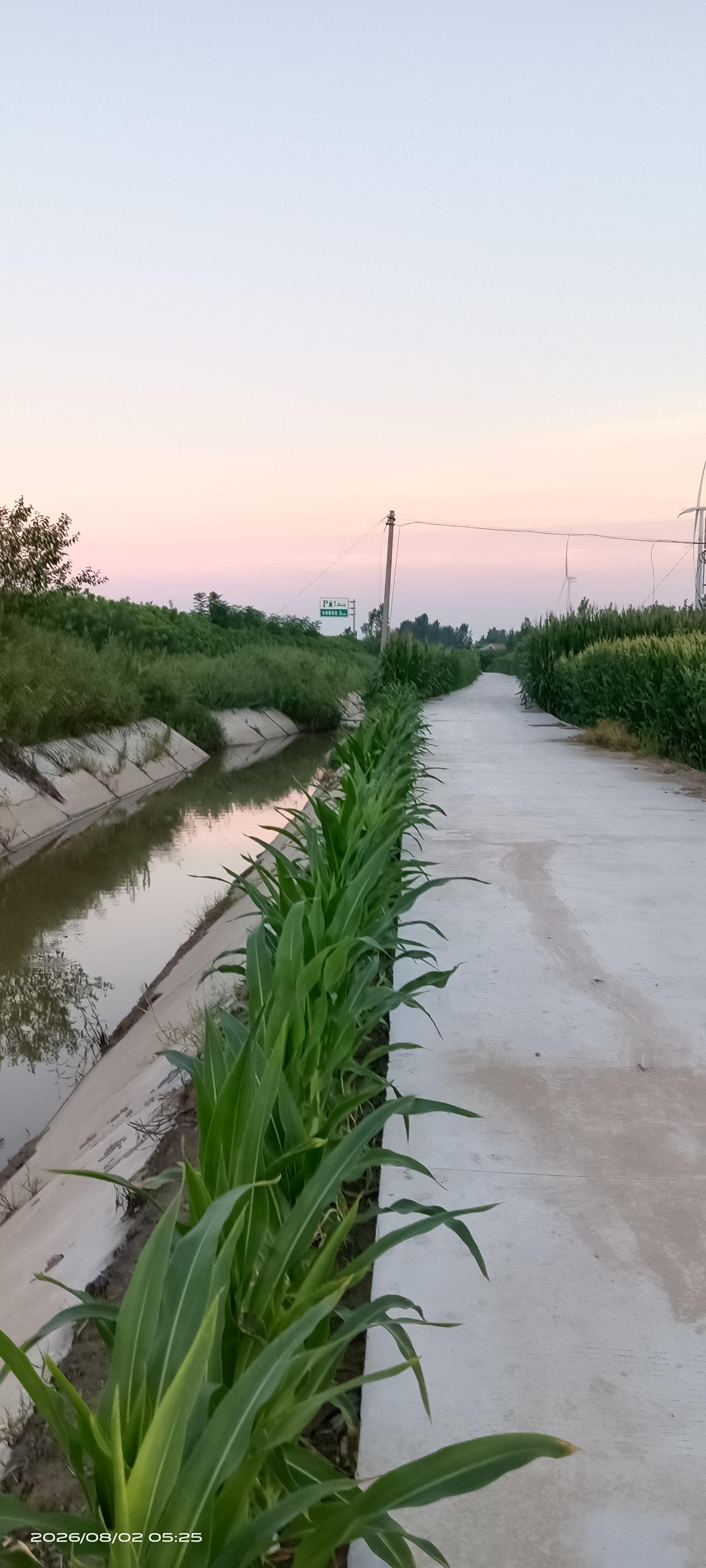 晒图笔记大赛农村村外的早晨随拍