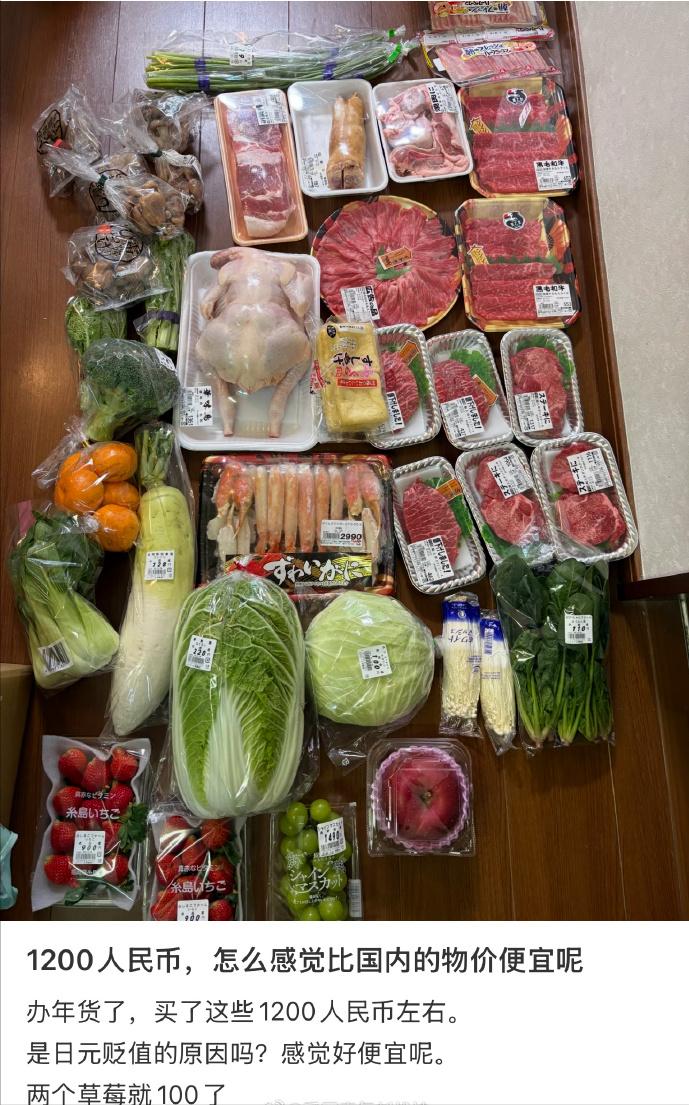 在日本1200块人民币就买这些！1200块钱在国内能买多少？这是一位日本华人