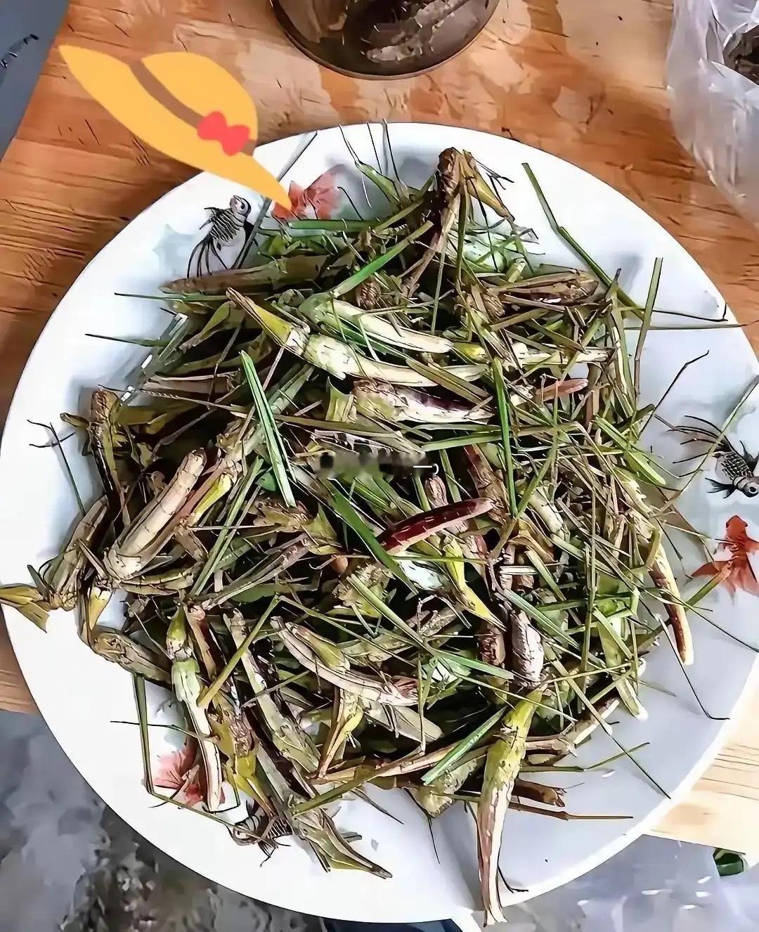 有吃过的举手，好吃不？