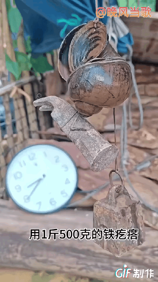 这是犯了什么大错啊？至于这么为难一只螺吗？