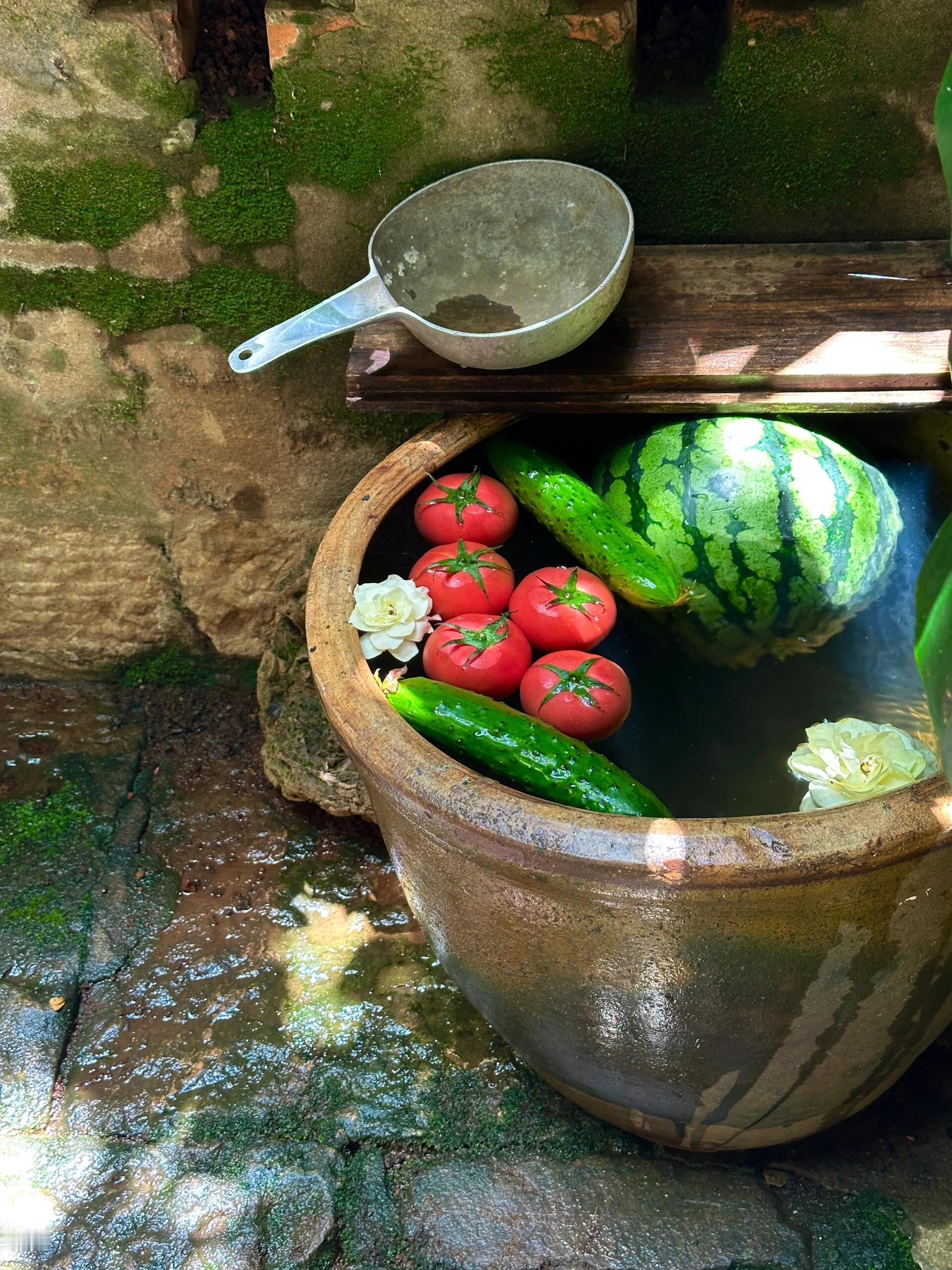 老宅里的梦核夏天🍉​​​